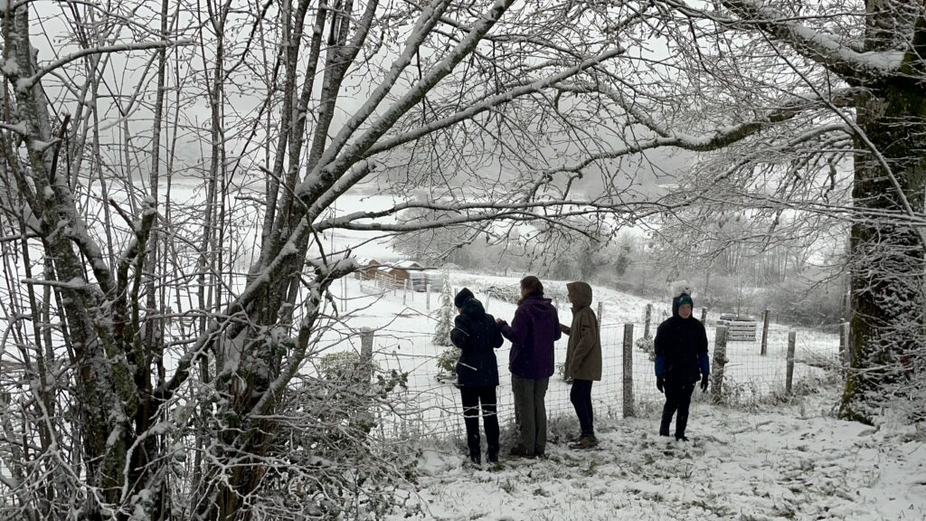 Week-end de Noël 20-22 décembre