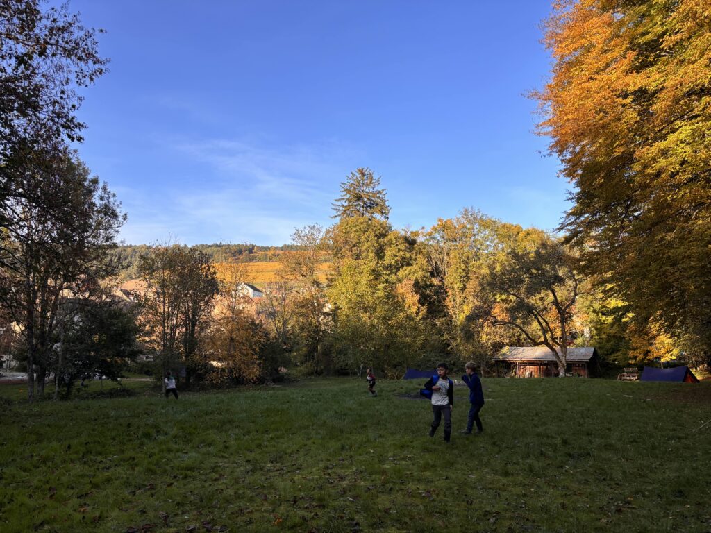 Sortie du 22 novembre